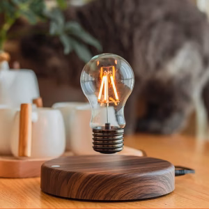 Floating Lamp- Magnetic Levitation Lamp